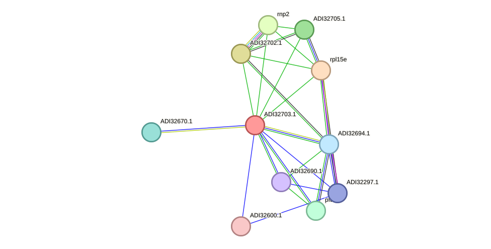 STRING protein interaction network