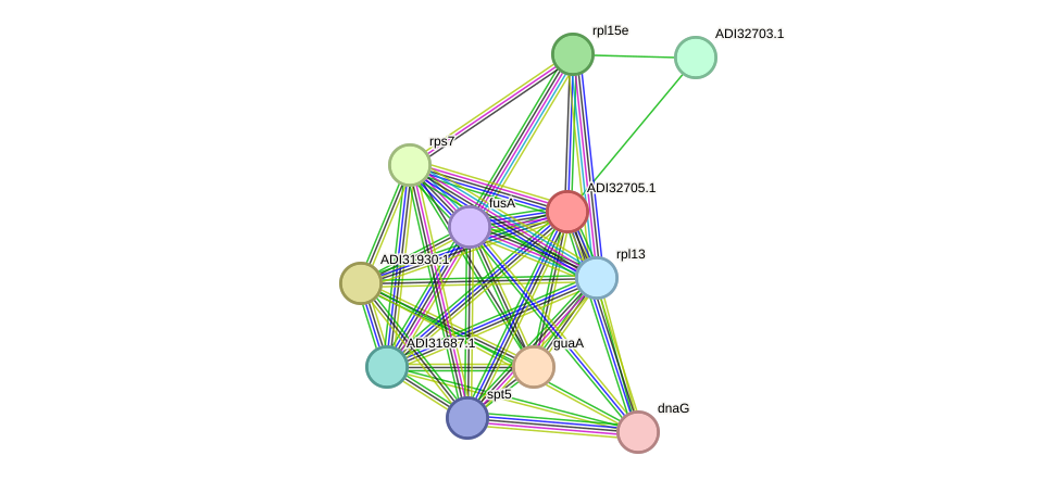 STRING protein interaction network