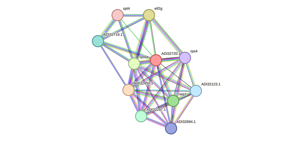 STRING protein interaction network