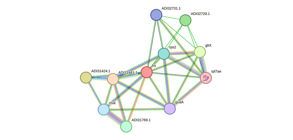 STRING protein interaction network