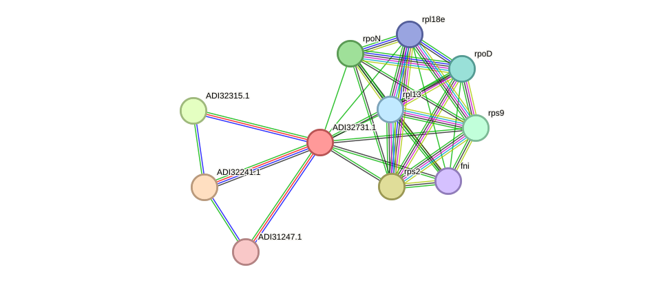 STRING protein interaction network