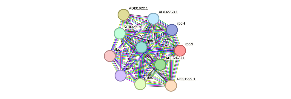 STRING protein interaction network