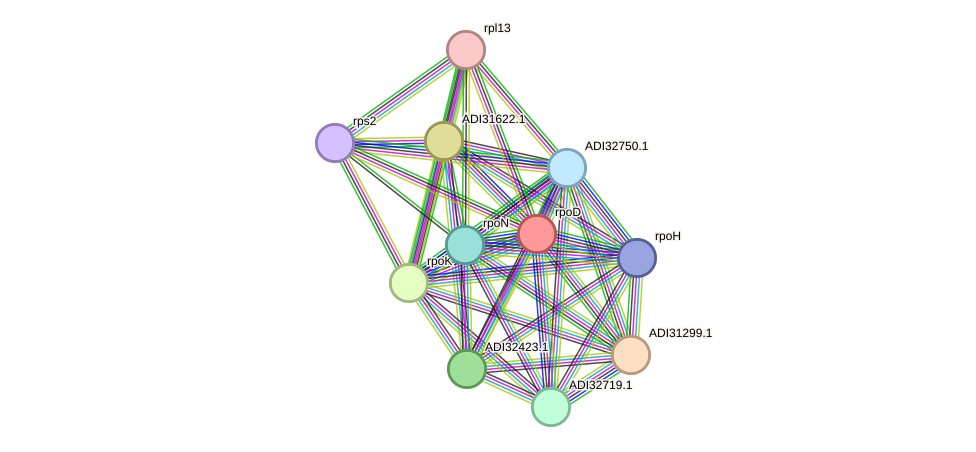 STRING protein interaction network