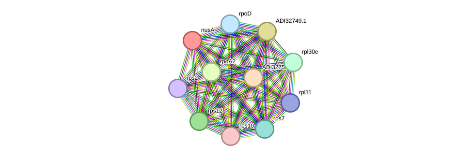 STRING protein interaction network