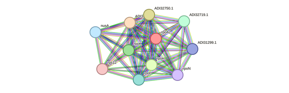 STRING protein interaction network