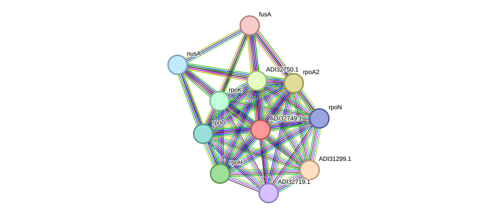 STRING protein interaction network