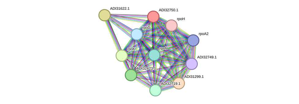 STRING protein interaction network