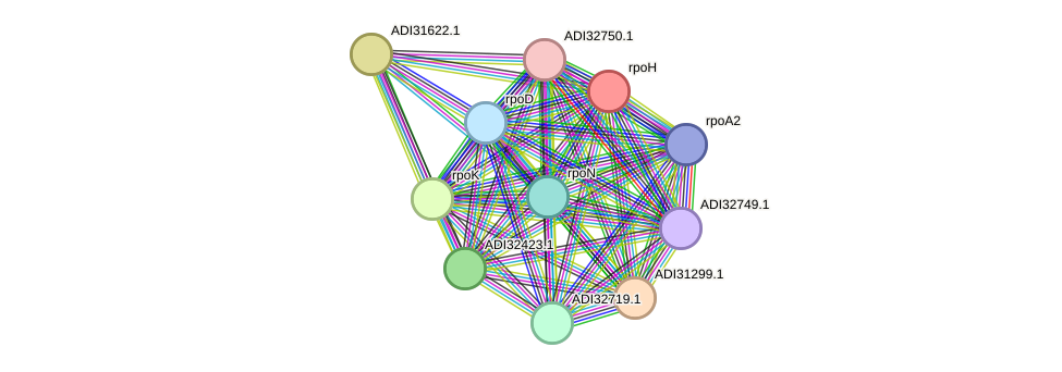 STRING protein interaction network