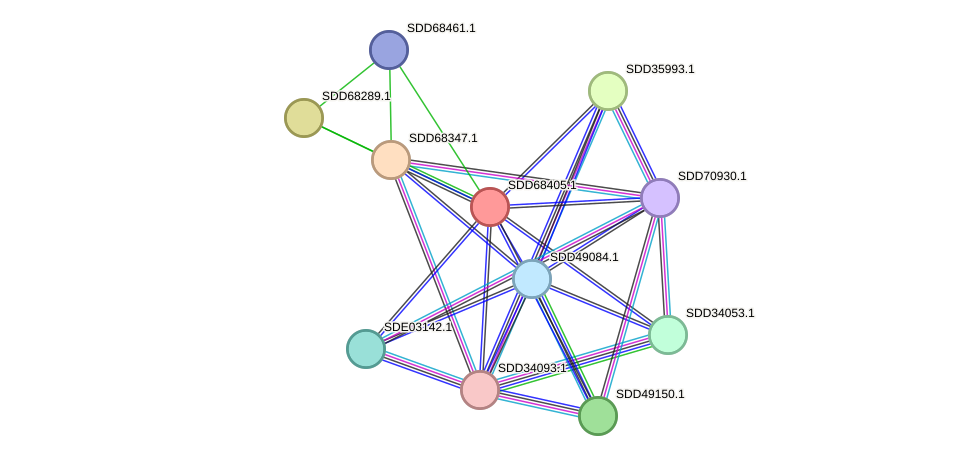 STRING protein interaction network