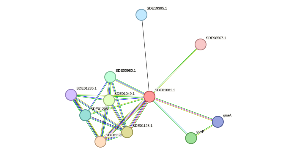 STRING protein interaction network