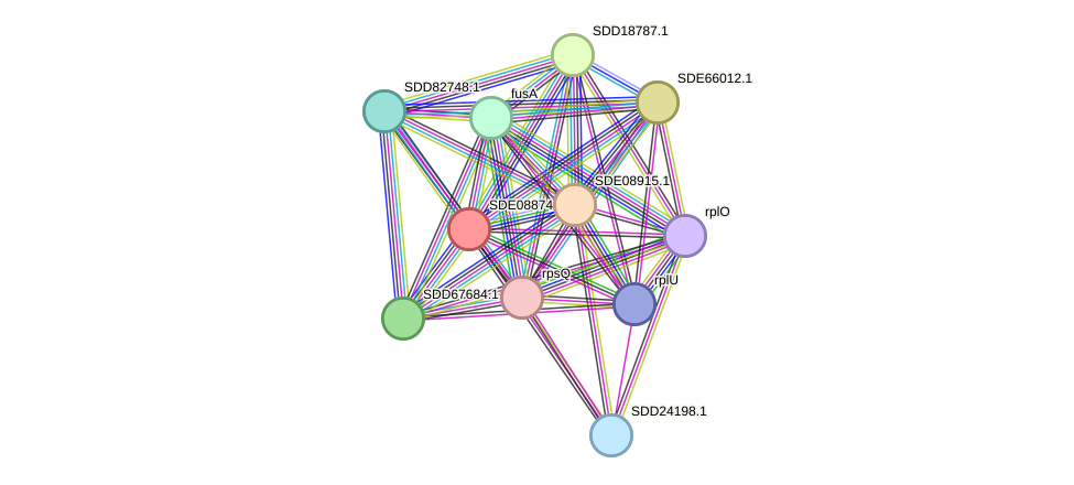 STRING protein interaction network