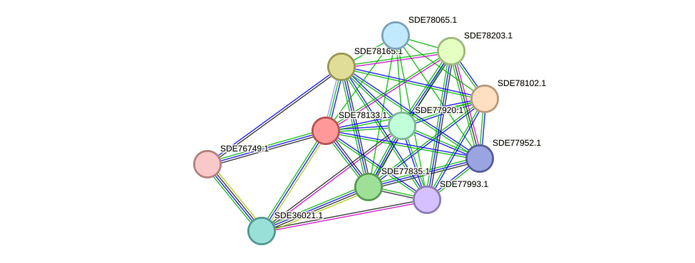 STRING protein interaction network