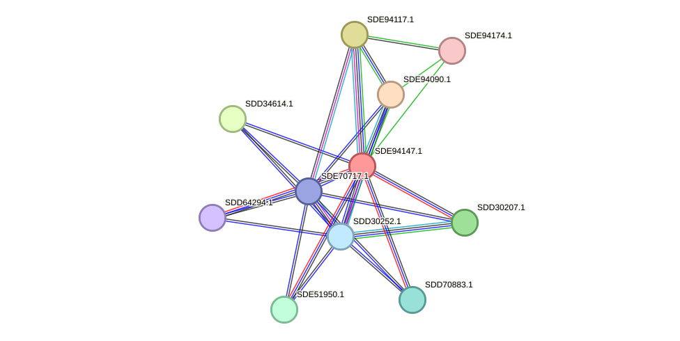 STRING protein interaction network