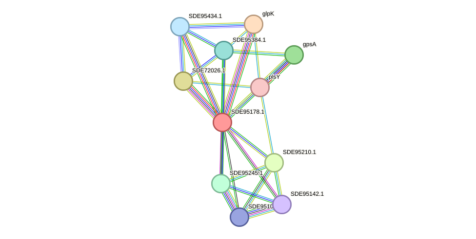 STRING protein interaction network