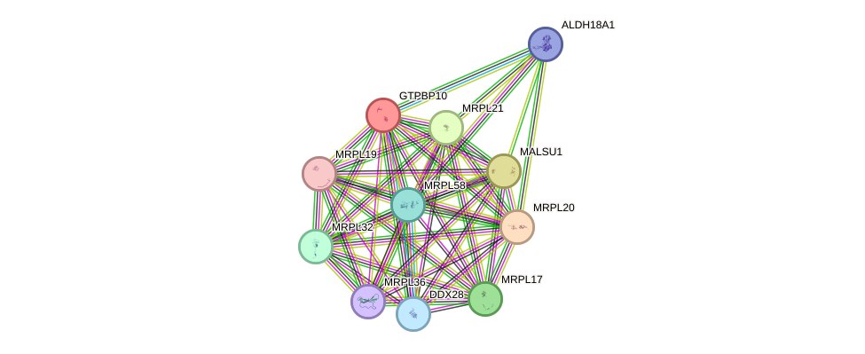 STRING protein interaction network