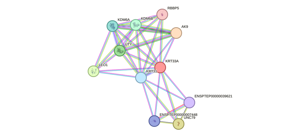 STRING protein interaction network