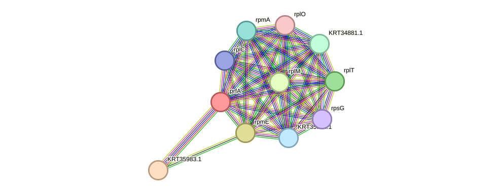 STRING protein interaction network