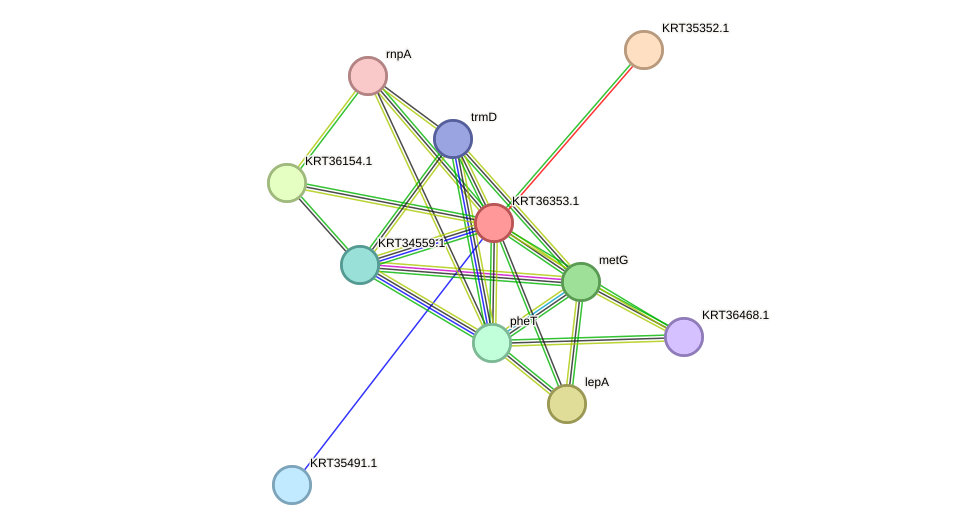 STRING protein interaction network