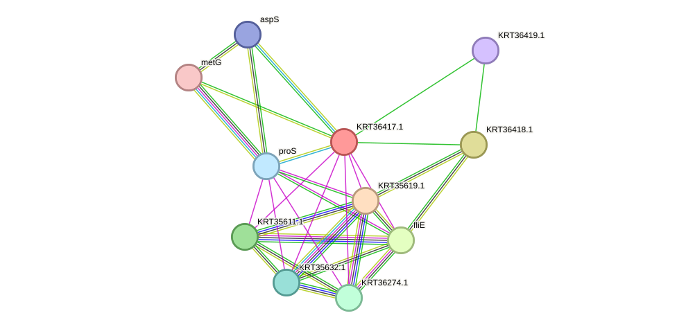 STRING protein interaction network