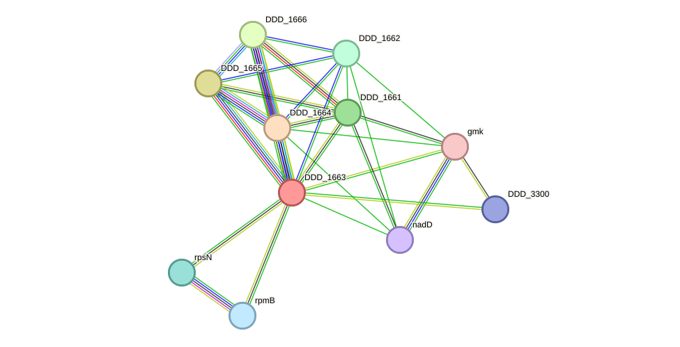 STRING protein interaction network