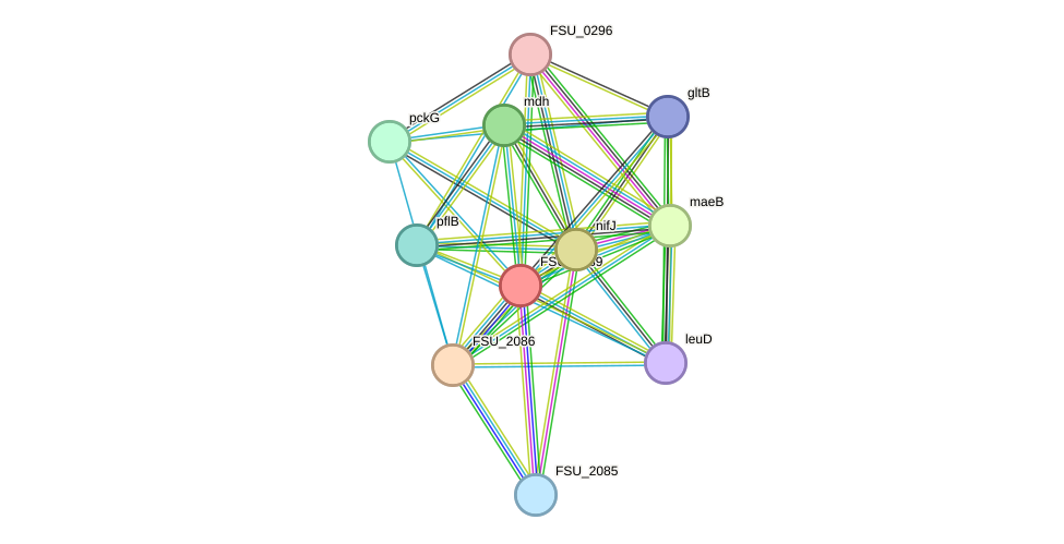 STRING protein interaction network