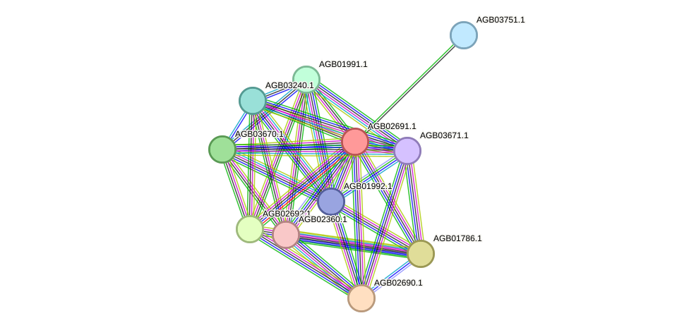 STRING protein interaction network