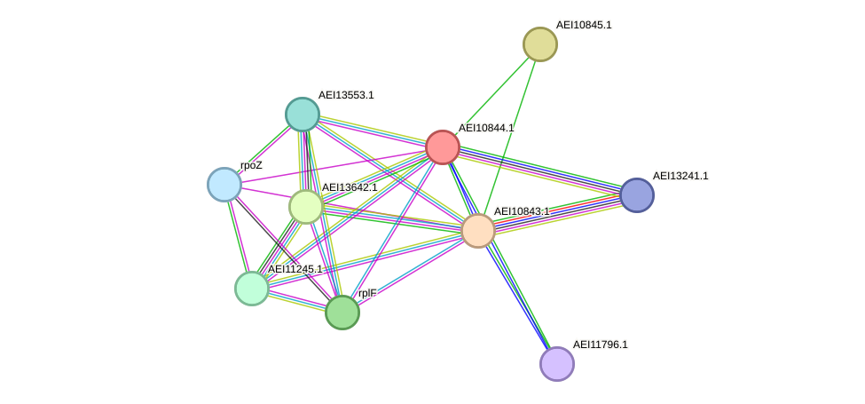 STRING protein interaction network