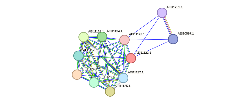 STRING protein interaction network