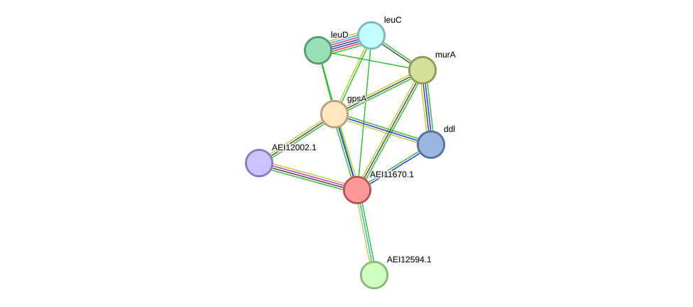 STRING protein interaction network