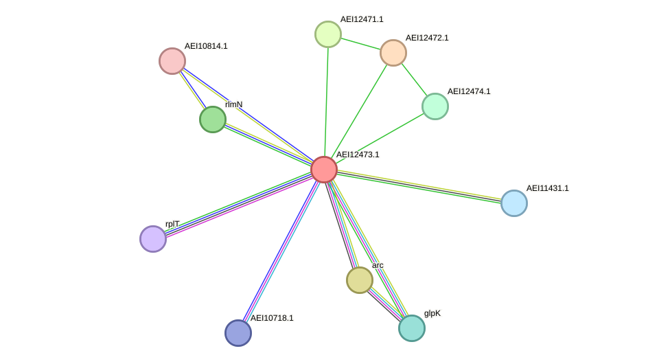 STRING protein interaction network