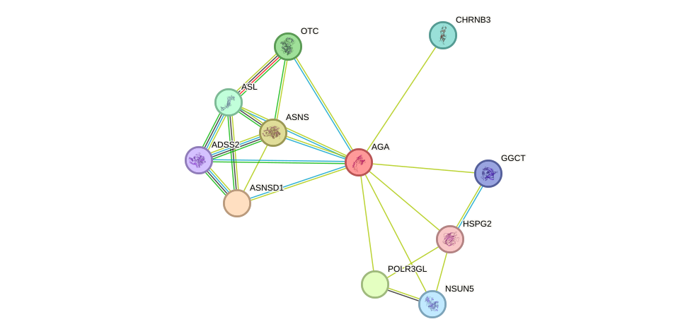 STRING protein interaction network