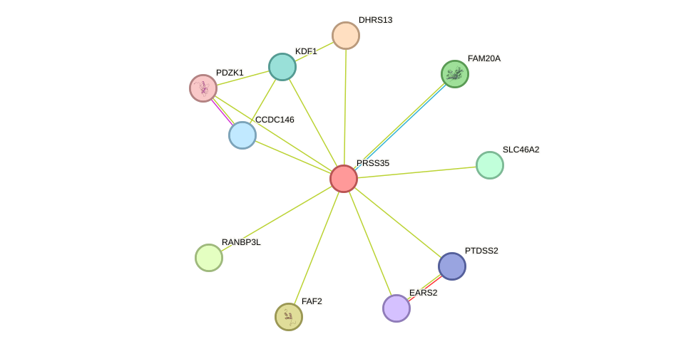 STRING protein interaction network