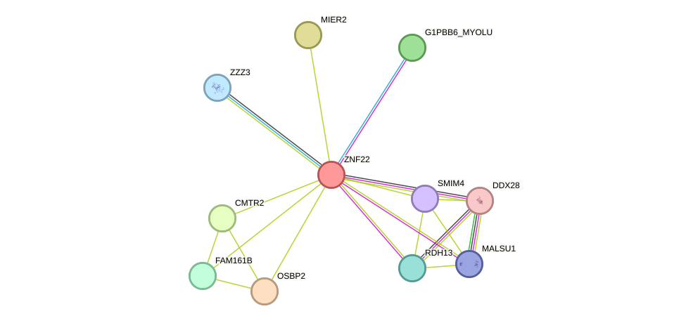 STRING protein interaction network