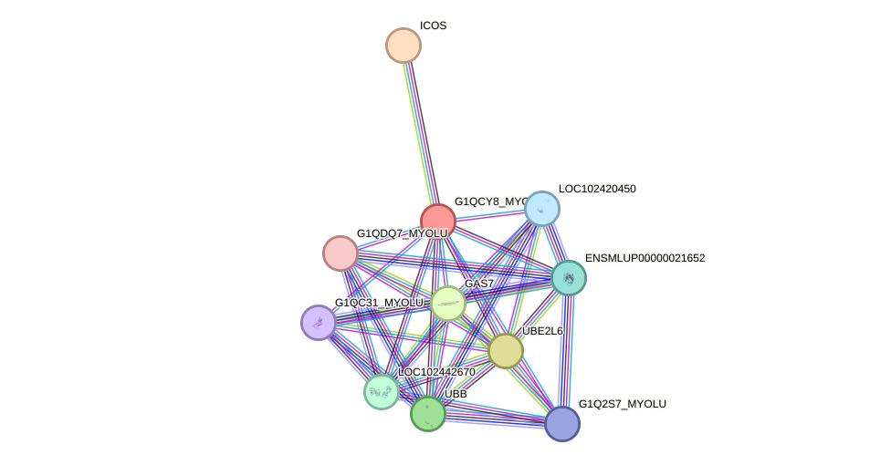 STRING protein interaction network