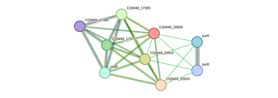 STRING protein interaction network