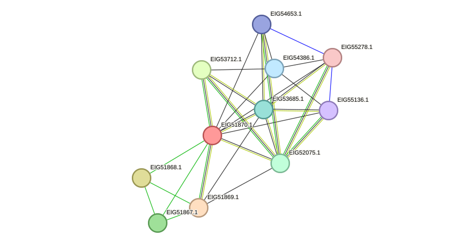 STRING protein interaction network