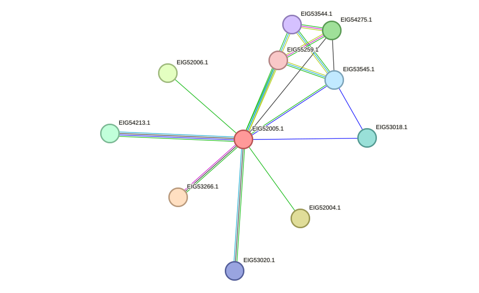 STRING protein interaction network