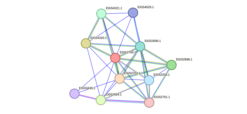 STRING protein interaction network