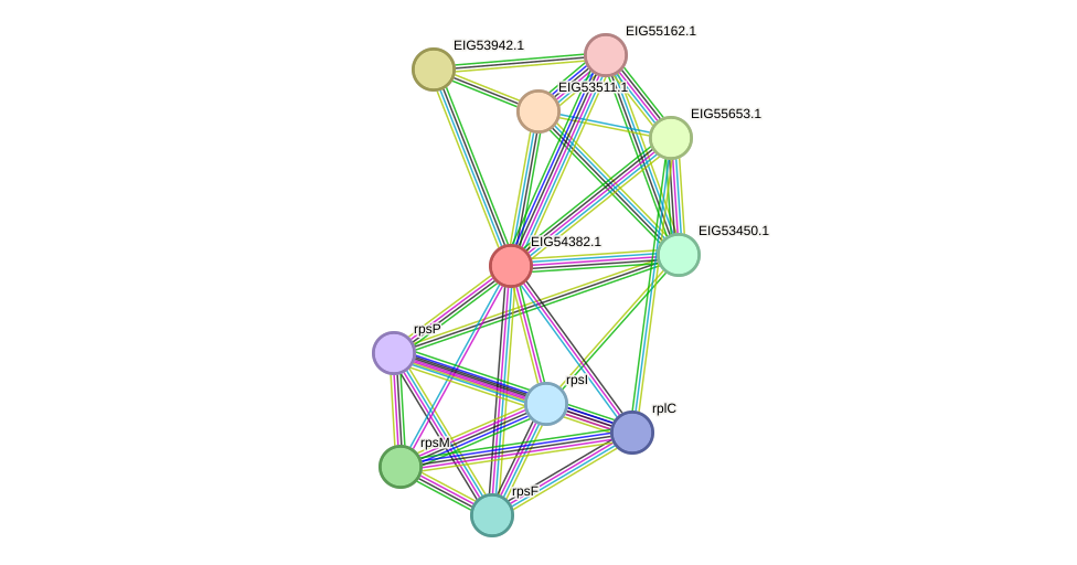 STRING protein interaction network