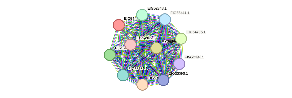 STRING protein interaction network