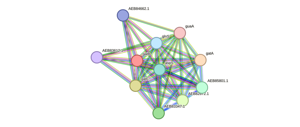 STRING protein interaction network