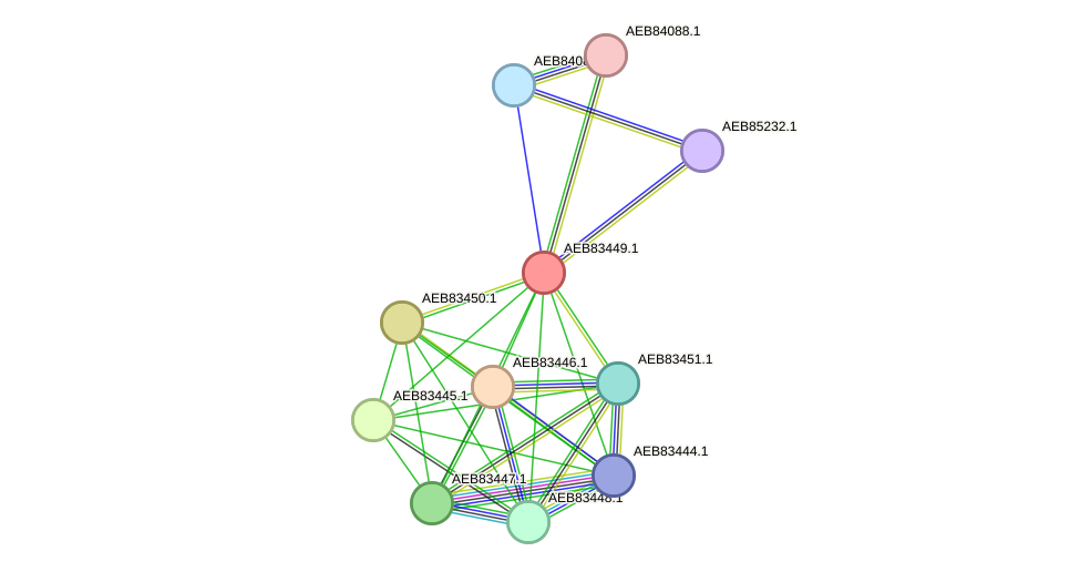 STRING protein interaction network