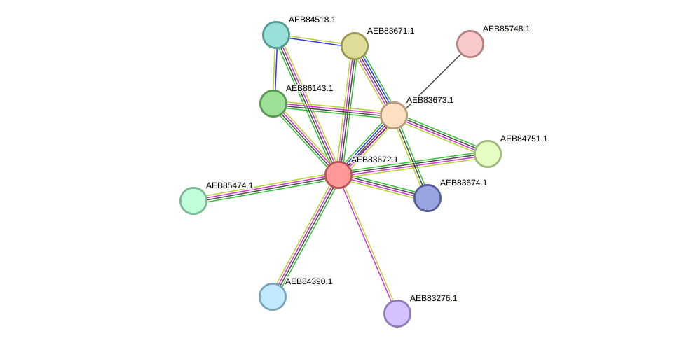 STRING protein interaction network