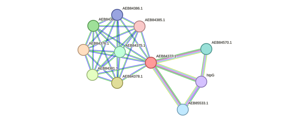 STRING protein interaction network
