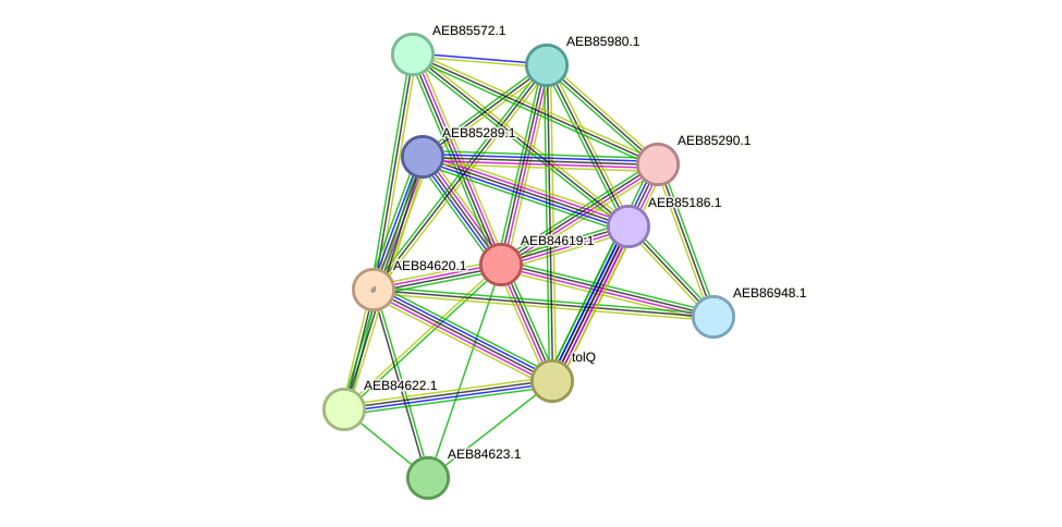 STRING protein interaction network