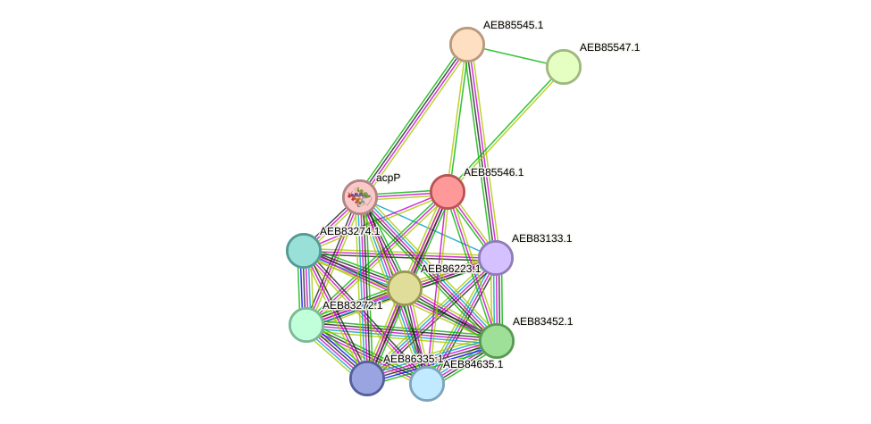 STRING protein interaction network