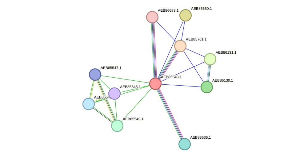 STRING protein interaction network