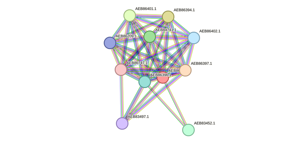 STRING protein interaction network