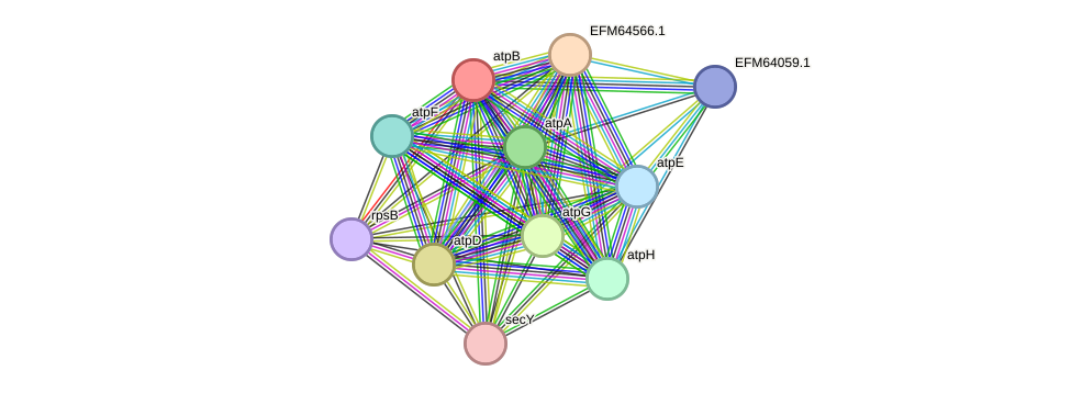 STRING protein interaction network