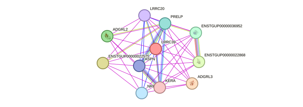 STRING protein interaction network